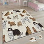 Conceptum Alfombra Csbrghl-168 Multicolor 100 x 140 cm